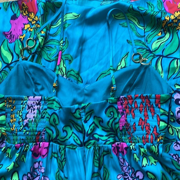 Lilly Pulitzer Joanna Empire Waist Maxi Dress in Shake Your Tail Feathers - Picture 6 of 13